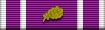 Combat Attachment Award with Gold Oak Leaf