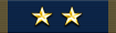 Outstanding Combat Intelligence Medal with Two Gold Stars